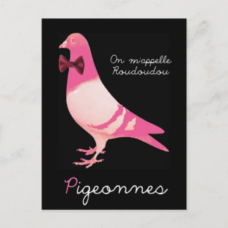 Carte Postale Pigeonnes - On m'appelle Roudoudou