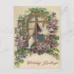 Carte Postale Pigeonnière Lettre Oublie-Moi-Non