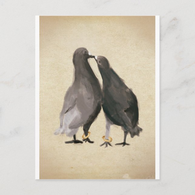 Carte Postale Pigeons romantiques (Devant)