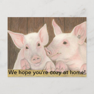 Carte Postale Piglets