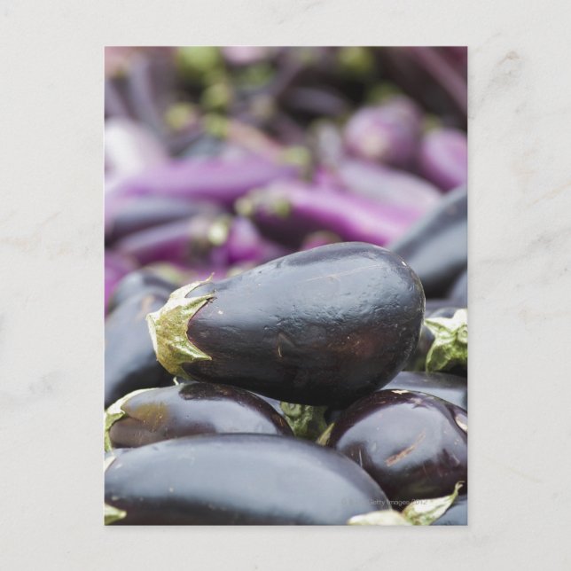 Carte Postale Pile d'aubergine (Devant)