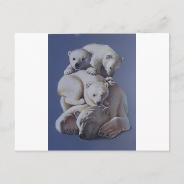 Carte Postale Pile d'ours polaire (Devant)