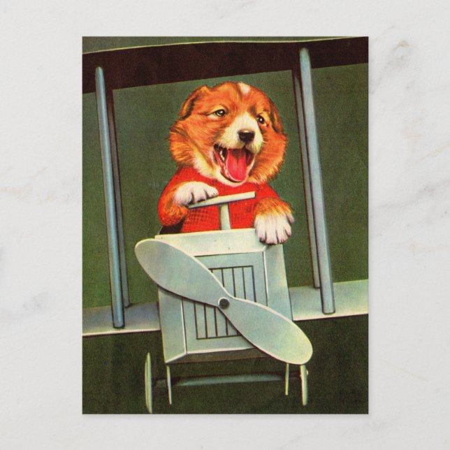 Carte Postale pilote (Devant)