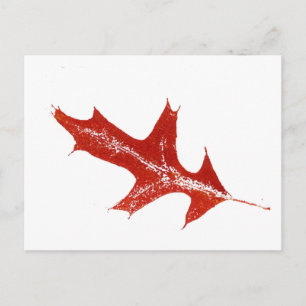 Carte postale "Pin Oak Red"
