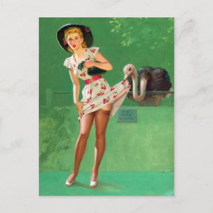 Carte Postale Pin Up d'autruche