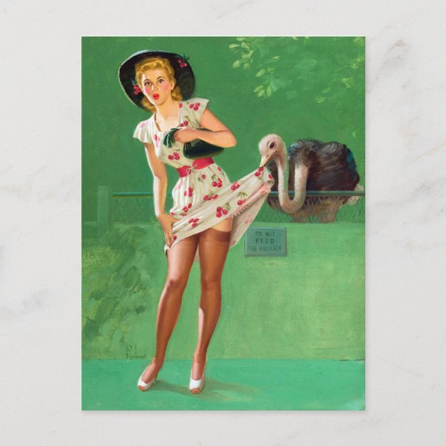 Carte Postale Pin Up d'autruche (Devant)