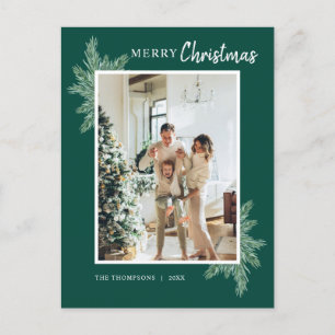 Carte Postale Pin vert botanique Photo Joyeux Noël