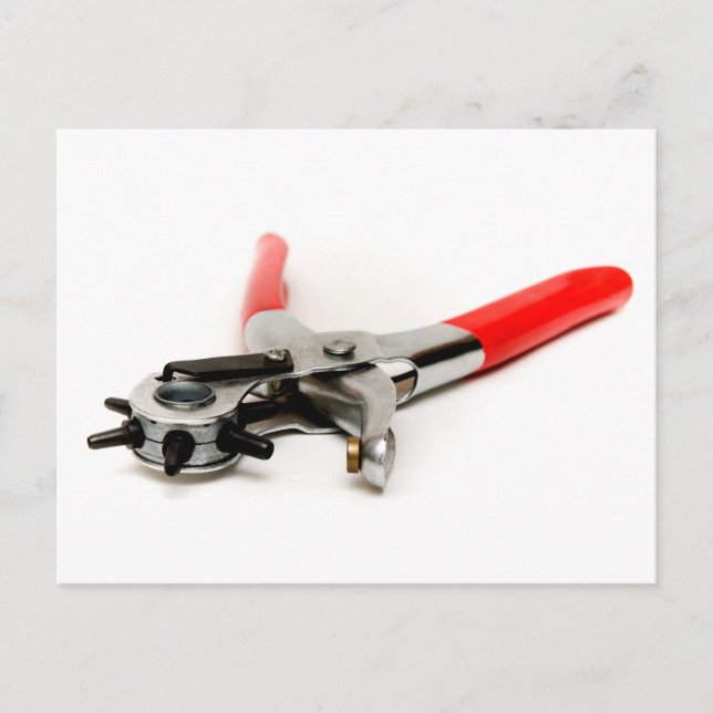 Carte Postale Pince en cuir (Devant)