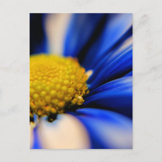 Carte Postale Pinceau