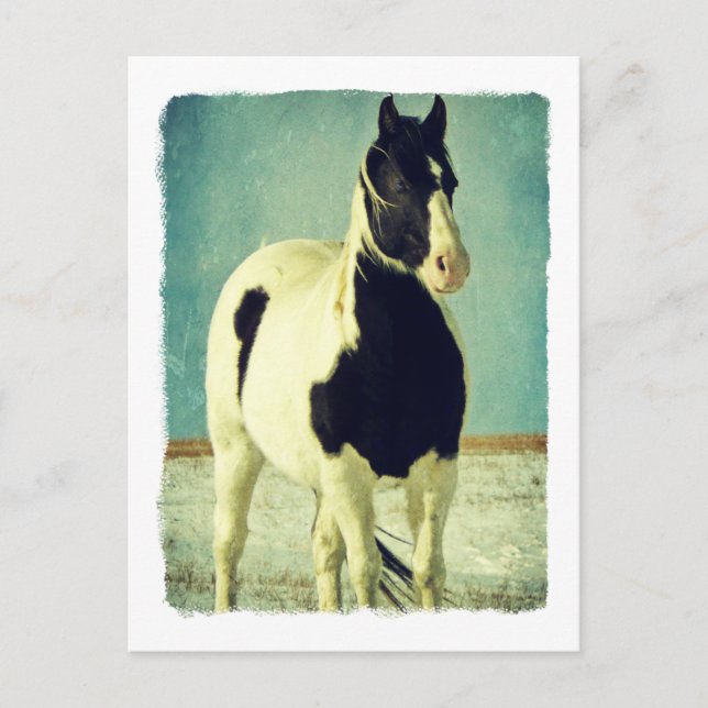 Carte Postale Pinceau noir et blanc (Devant)