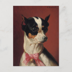 Carte postale Pincher Toy