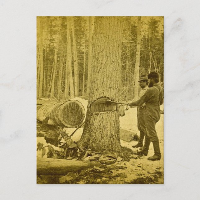 Carte Postale Pineries of Michigan Goodridge Brothers Saginaw MI (Devant)