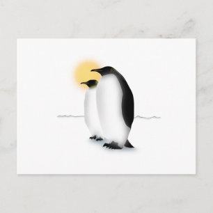 Carte Postale Pingouin