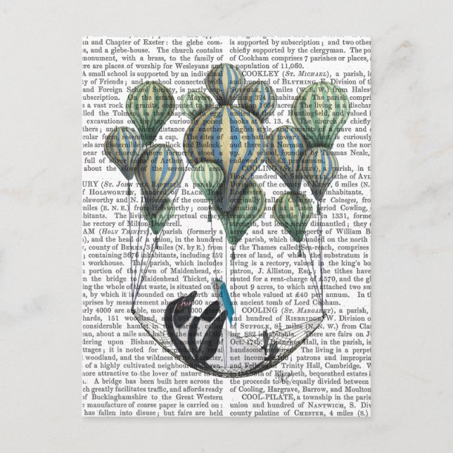 Carte Postale Pingouin dans le ballon Hammock (Devant)