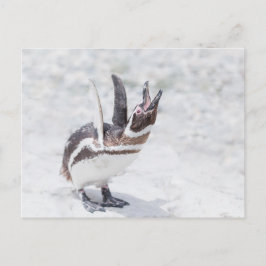 Carte Postale Pingouin hurlant