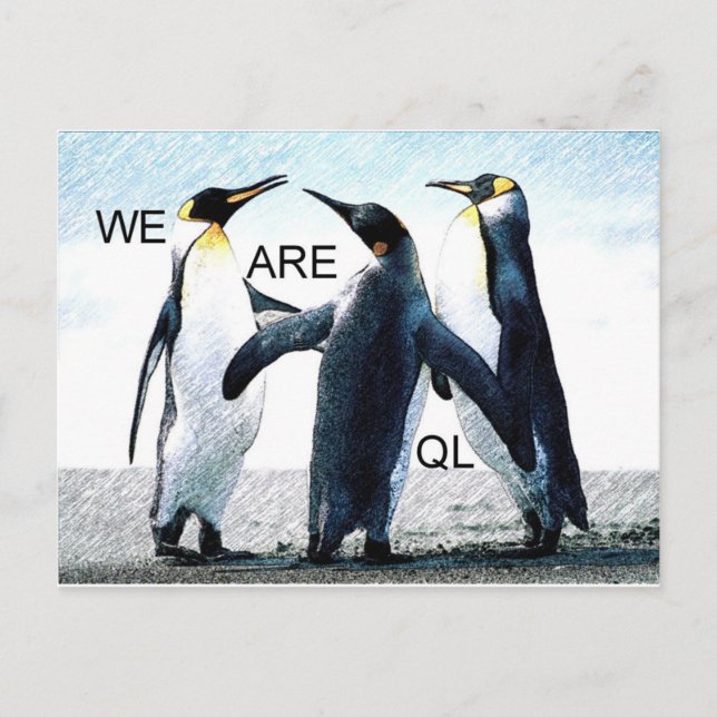 Carte Postale pingouins (Devant)