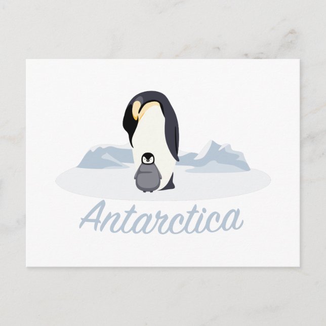 Carte Postale Pingouins de l'Antarctique (Devant)