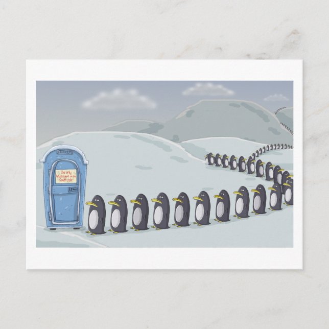 Carte Postale Pingouins mignons, Salle de bain sur le Pôle Sud. (Devant)