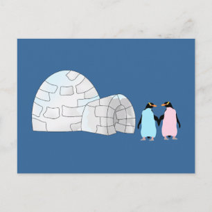 Carte Postale Pingouins roses et bleus à igloo