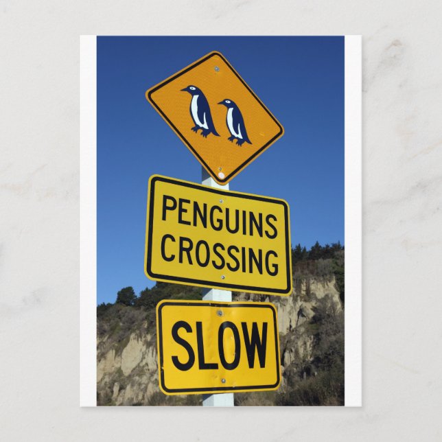 Carte Postale Pingouins traversant le panneau jaune (Devant)