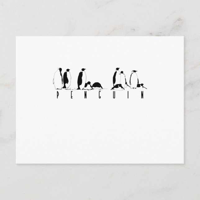 Carte Postale Pinguine (Devant)
