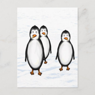 Carte Postale Pinguine