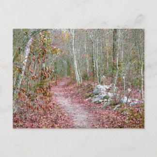 Carte Postale Pink Autumn Leaves Goat Rock Trail Arkansas