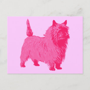 Carte Postale Pink Cairn Terrier