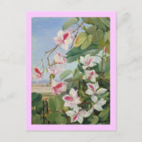 Pink Floral Spring Party Douche Paix Amour Destiny