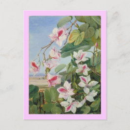 Carte Postale Pink Floral Spring Party Douche Paix Amour Destiny
