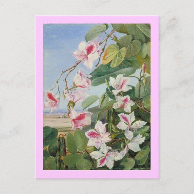 Carte Postale Pink Floral Spring Party Douche Paix Amour Destiny (Devant)