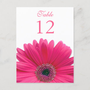 Carte Postale Pink Gerbera Daisy Table Number Card