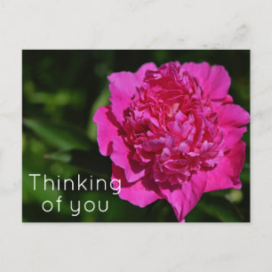 Carte Postale Pink Peony Garden Flower Pensez à vous