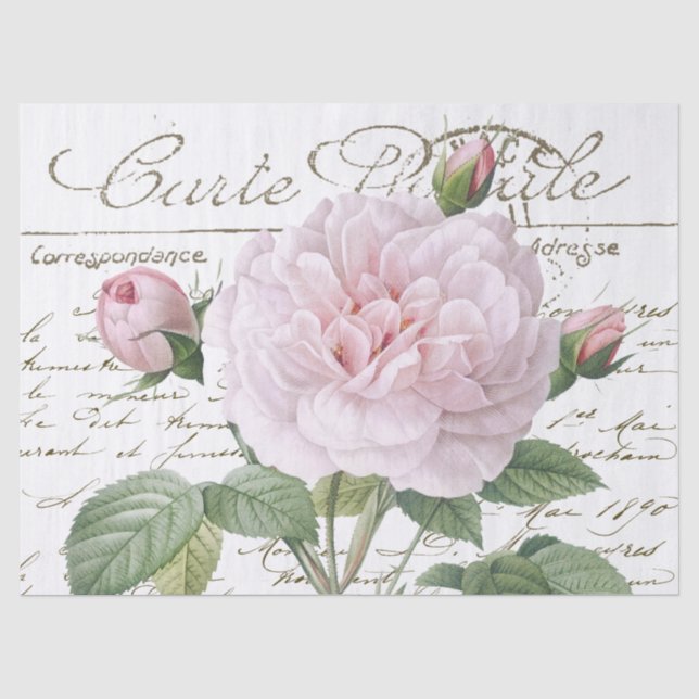 Carte Postale Pink Redouté Rose Gold Französische  Seidenpapier (Vorderseite)