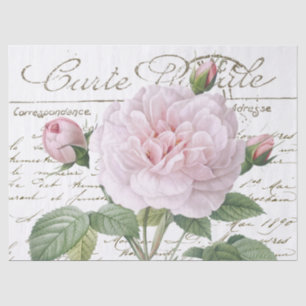 Carte Postale Pink Redouté Rose Gold Französisches Seidenpapier