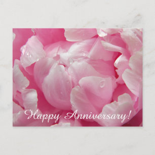 Carte Postale Pink romance blooming peony flower with dew drops