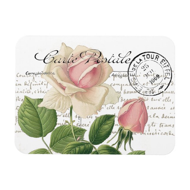 Carte Postale Pink Rose Französische Schrift Vinta Magnet (Horizontal)