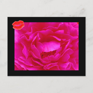 Carte postale Pink Rose II