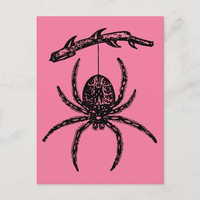 Carte postale Pink Spider (Devant)