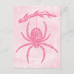 Carte postale Pink Spider
