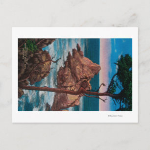 Carte Postale Pinnacle Point, Point Lobas State Park