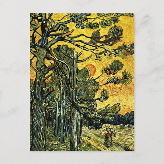 Carte Postale Pins contre un ciel rouge (Devant)