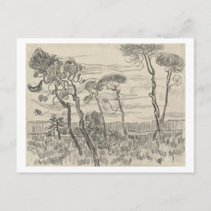 Carte Postale Pins devant le mur Asile, Vincent van Gogh