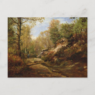 Carte Postale Pins et bouleaux ou la forêt de