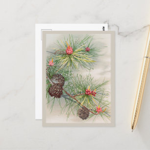 Carte Postale Pins et fleurs Noël
