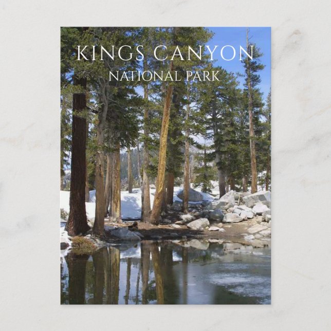 Carte Postale Pins, Neige, Lac Sequoia, Kings Canyon NP (Devant)