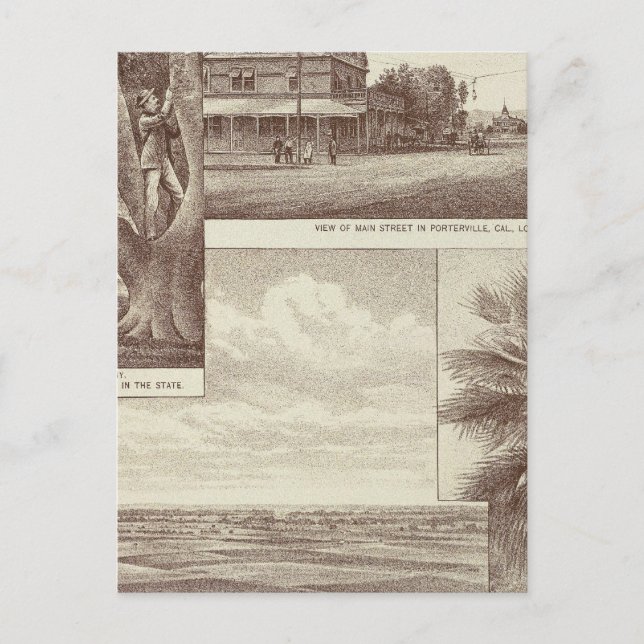 Carte Postale Pioneer Land Co, contrat, Porterville (Devant)