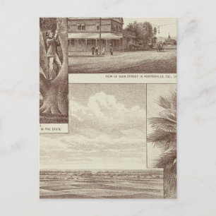 Carte Postale Pioneer Land Co, contrat, Porterville