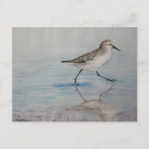 Carte postale Piper Bird Art Sable