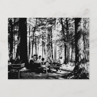 Carte Postale Pique-nique vintage à Gorge Falls dans la péninsul